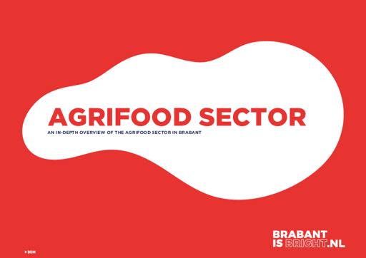 In-depth overview Agrifood Sector in Brabant (Netherlands)