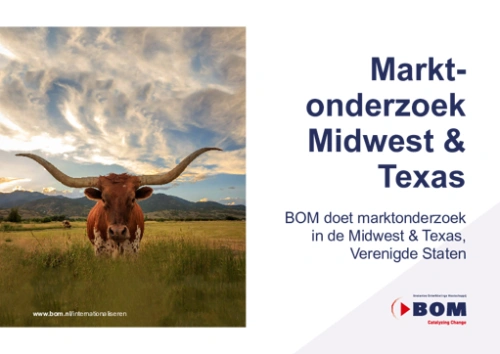 Marktonderzoek vs preview