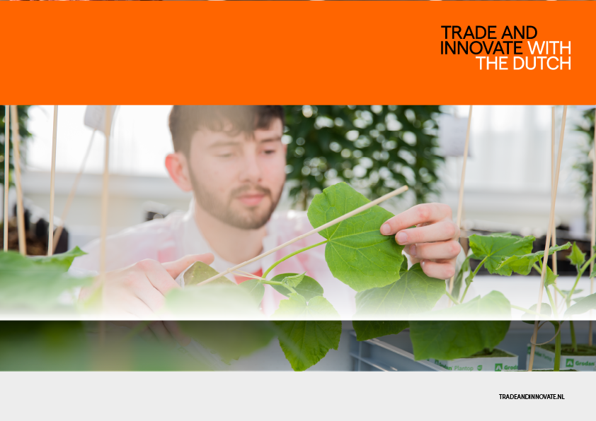 Trade and Innovate NL Jaarverslag 2022: sterker samen verder